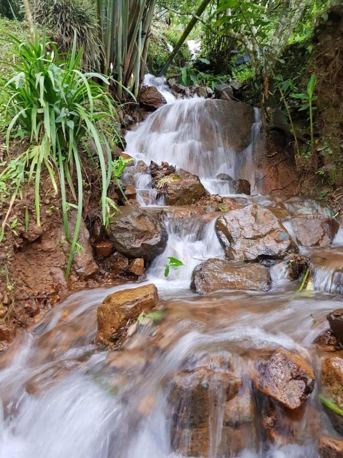 Finca Turistica Los Rosales Pereira Eksteriør billede
